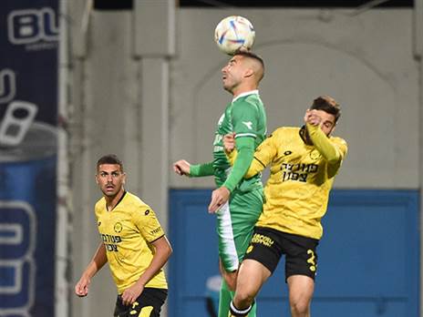 (ברני ארדוב)