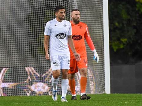 (ברני ארדוב)