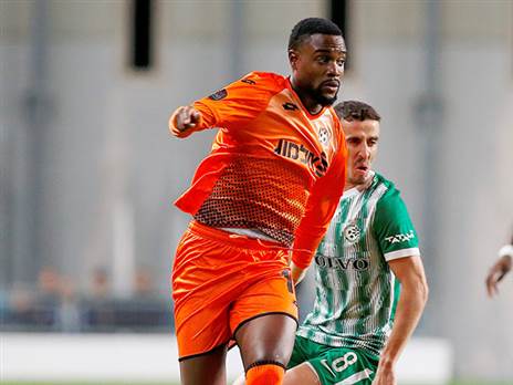 פלומן. יגיע לבירה? (אלן שיבר)