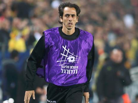 תמיד שיחק עם תשוקה (אלן שיבר)