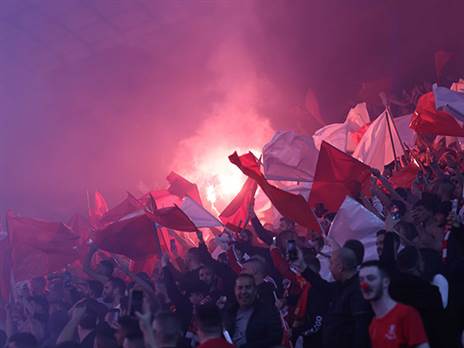 "האשמות חסרות שחר". אוהדי הפועל ת"א בטדי (צילום: אלן שיבר)