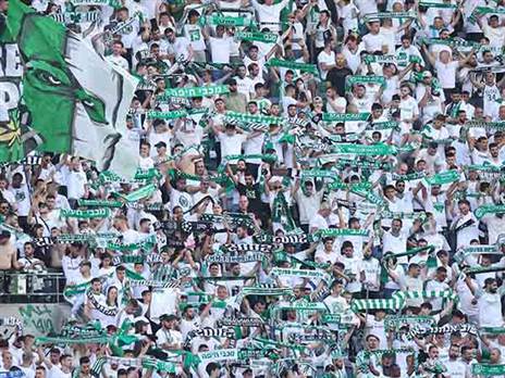 "כאב לנו שאיכזבנו" (ברני ארדוב)