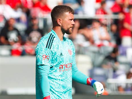 בסכנה ממשית (אלן שיבר)