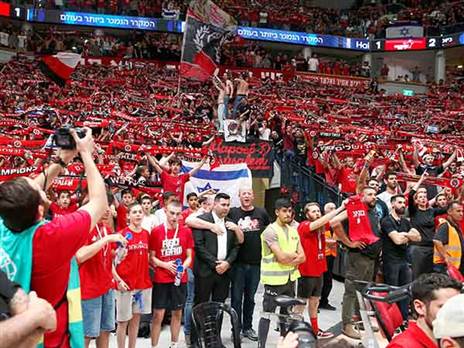 יחגגו בספרד? (אלן שיבר)