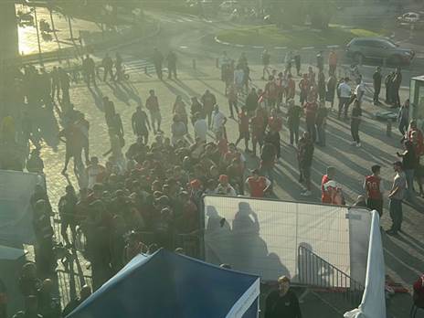 התורים בהיכל