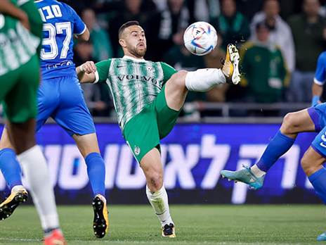 ישאר בחיפה? סבע (אלן שיבר)