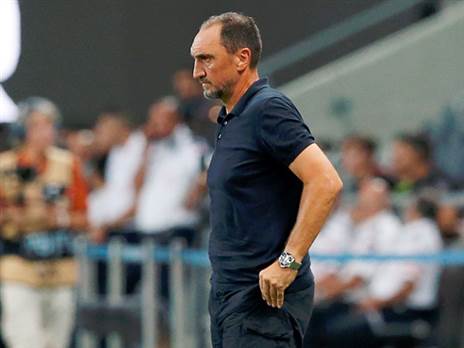 ערב כואב במיוחד, ולקאניס (אלן שיבר)