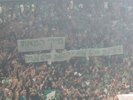 (מאור אלקסלסי)