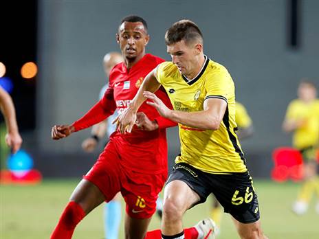 זלאטנוביץ'. צרפתי מאמין בו (אלן שיבר)