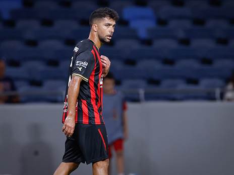 גוזלן על הכוונת (מאור אלקסלסי)