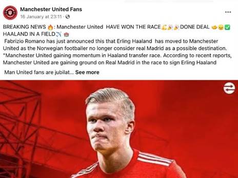 הפייק המדובר על הולאנד