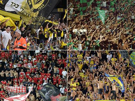 (צילום: אלן שיבר)