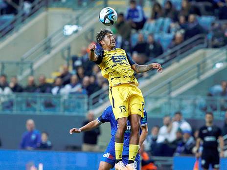 אוהב להפתיע. ורגאס (אלן שיבר)