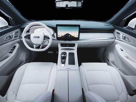 אופציה לריפודים לבנים