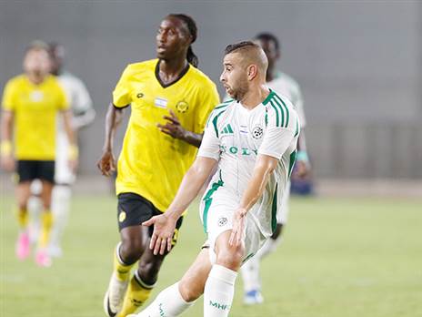 סבע. סביבו תיבנה חיפה החדשה (אלן שיבר)