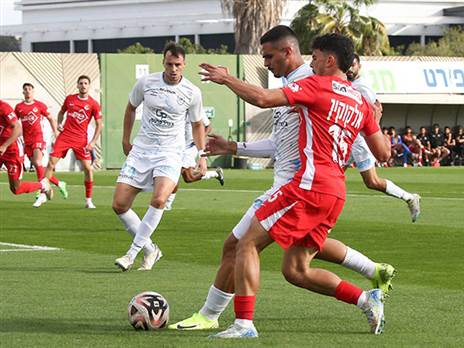 (אודי ציטיאט)