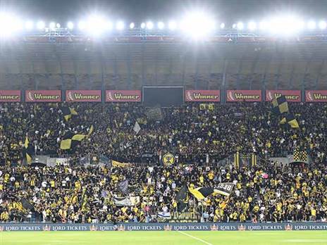 (ברני ארדוב)