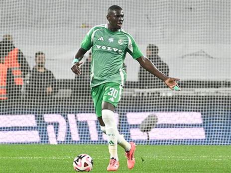 סק. לא הגיע לעונה (אלן שיבר)