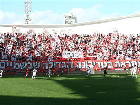 (צילום: אודי ציטיאט)