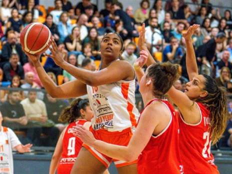 (רועי כפיר איגוד הכדורסל)