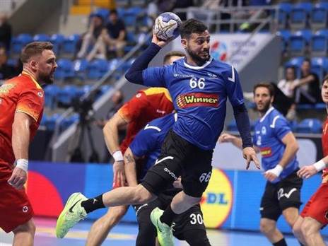 (סורין פנה, איגוד הכדוריד)