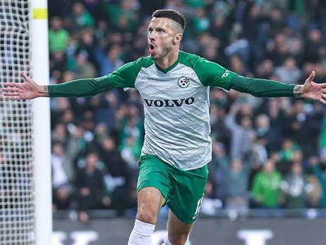 פרח בחיפה (אלן שיבר)