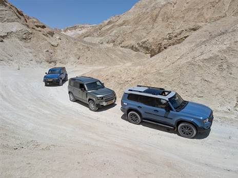 מנחשים את מי הילדים הכי אהבו?