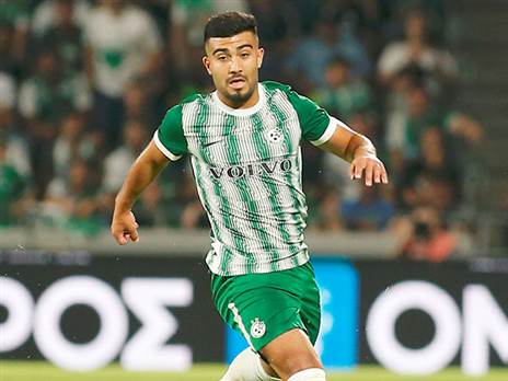 אל תחכו לאבו פאני (אלן שיבר)