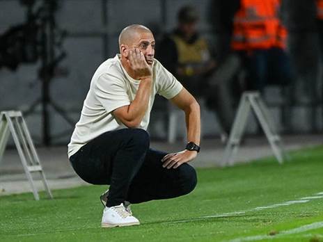 (ברני ארדוב)