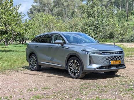 צילום: רן סגל