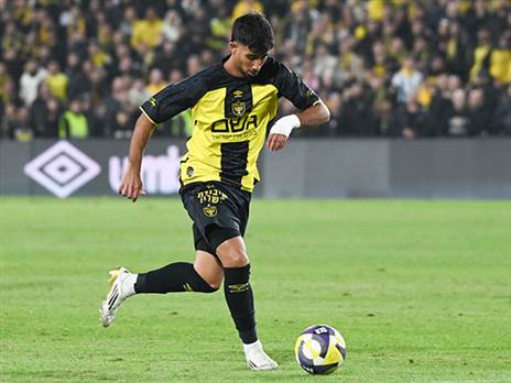 (ברני ארדוב)