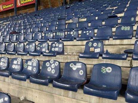 הונדליזם בטדי