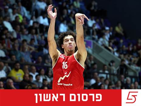 (אלן שיבר)