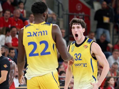 (אלן שיבר)