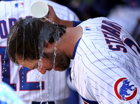 אוכלים בעיקר מרור, סטיוארט והקאבס (gettyimages)