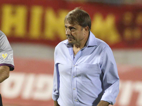 אלישע לוי. "עכו טובה, במיוחד אצלה בבית" (אלן שיבר)