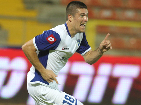 גרזיצ'יץ'. בדרך לכשירות מלאה (אלן שיבר)