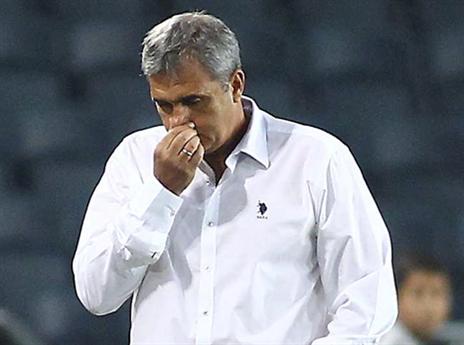 זוכה לגיבוי בינתיים. אלי כהן (אלן שיבר)