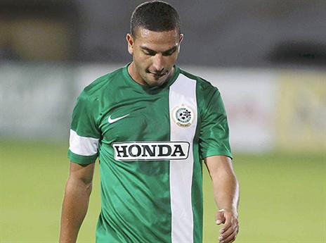 המבט הרגיל שלו (אלן שיבר)