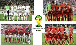 ברזיל במונדיאל 2014