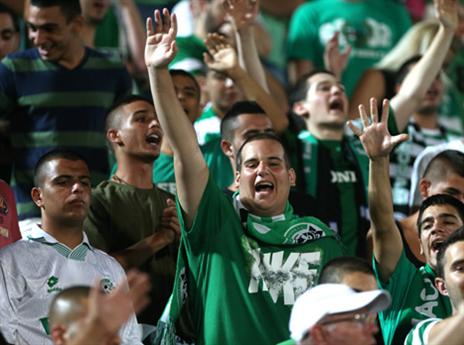 יבריחו את טוואטחה לאירופה?