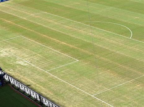 הדשא הלך לישון עם פסים חומים (GETTYIMAGES)