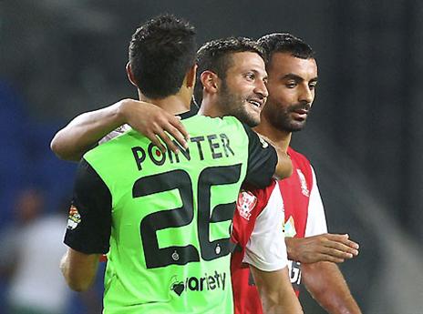 נפרדו כידידים (אלן שיבר)