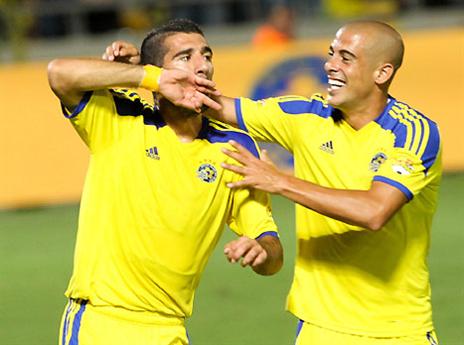 טיבי. כבש שער נדיר (דני מרון)