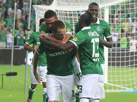 יחגגו גם בטדי? (אלן שיבר)