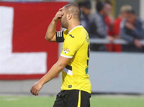 (צילום: אלן שיבר)