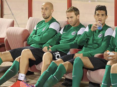 מה תרמו כל הזרים? (אלן שיבר)