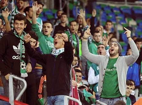 (צלם: אלן שיבר)