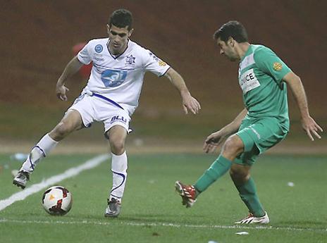 הכל פתוח לגומלין (צילום: אלן שיבר)