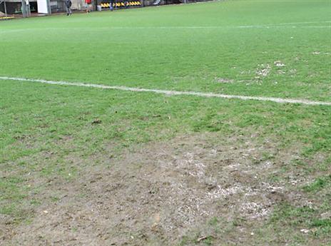 הגשם שיצר את כל הבלאגן